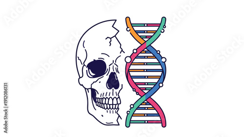 Genetics and ancestry research concept featuring a stylized human skull integrated with a colorful DNA double helix structure.