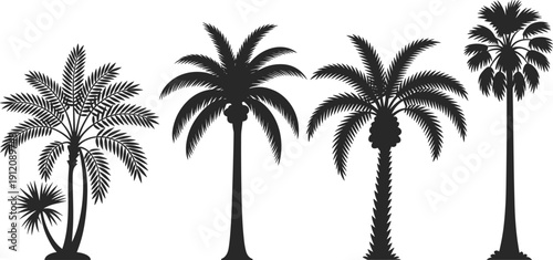 Black Palm Tree Silhouettes Set Featuring Various Tropical Coconut And Date Palms Isolated On White Background For Summer Vacation Beach Resort And Exotic Landscape Design