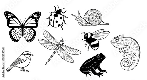 Black and White Animal Line Art Illustrations Set.