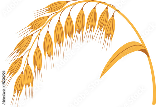 Stylized oat plant illustration with golden seed heads, curved stem, mature grains, and long awns in harvest-ready design.