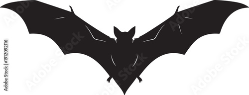 bat on a white