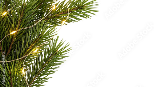 Decorated pine branch with lights