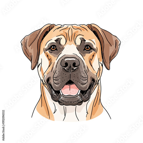 Boxer Dog Facial Portrait Illustration.