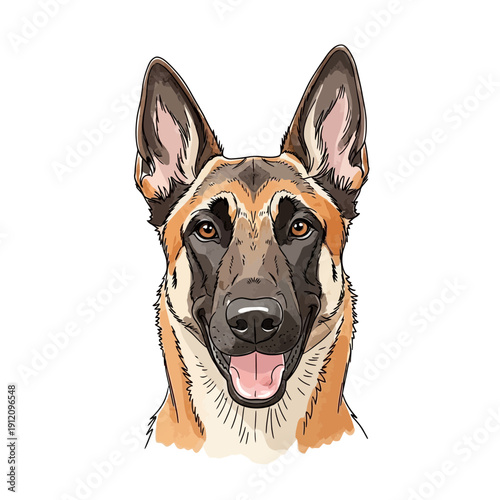 Belgian Malinois Dog Portrait Illustration.