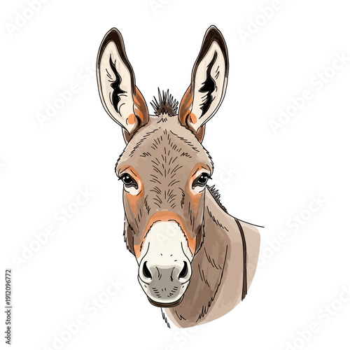 Donkey Head Portrait Closeup Illustration.