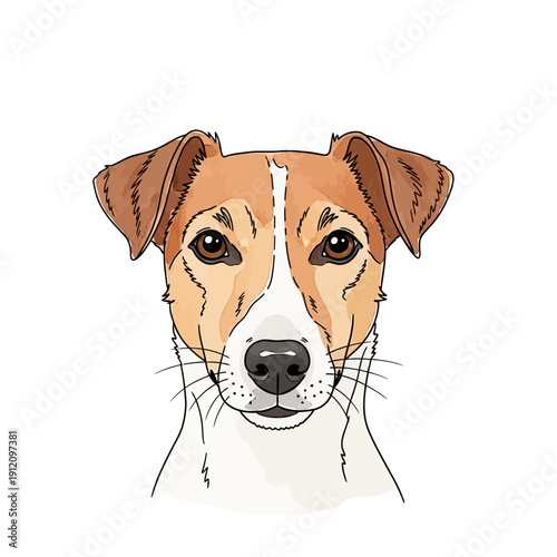 Illustration of a Dogs Face.
