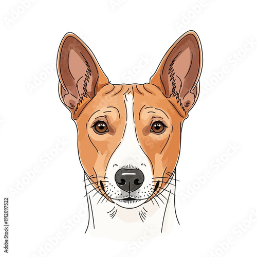 Basenji Dog Portrait Illustration.