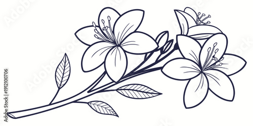 Delicate white flowers blooming on a slender branch with leaves.