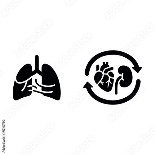 Lungs and kidney health illustration with medical icons for disease prevention and organ care vector design
