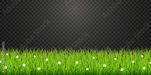 Green Grass Border with White Daisies Transparent PNG – Spring Meadow Vector Overlay