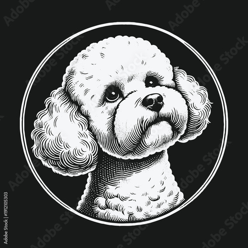 Detailed Line Art Portrait of a Cute Poodle in Circle.