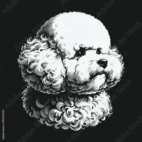 Detailed Bichon Frise Portrait in Black and White Illustration.