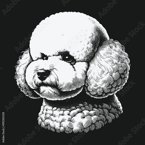 Detailed Portrait of a White Poodle with Curly Fur.