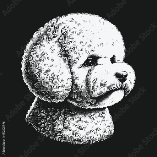 Detailed Engraving of a White Poodle Head on Black Background.