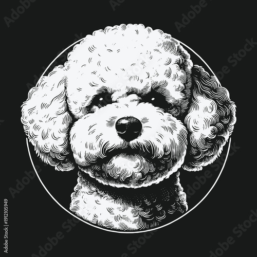 Detailed Portrait of a Charming Poodle in Black and White.