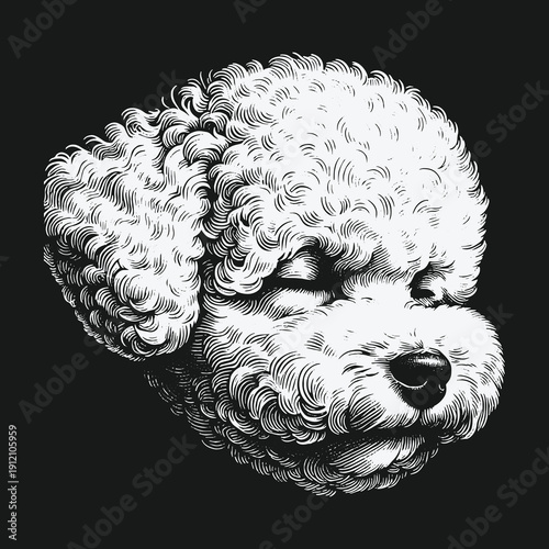 Detailed Engraving of a White Poodle Head on Black Background.