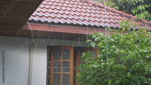 A house with a red roof and a tree in front of it. The tree is wet from the rain