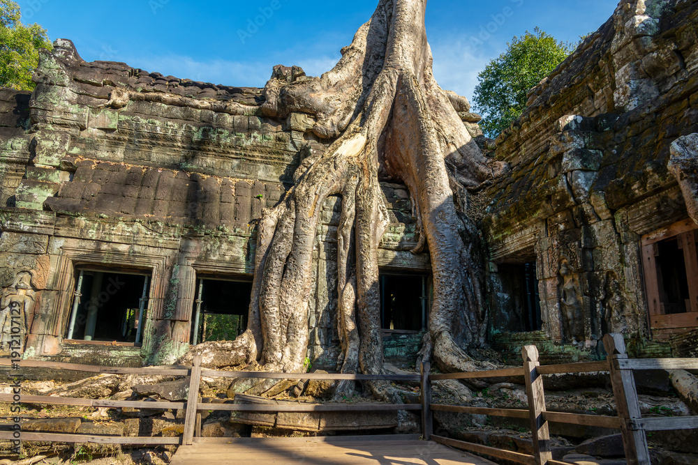 Fototapeta premium Famous Ta Prohm temple in Angkor with Silk Cotton tree (or Kapok tree) roots growing on the ruins, Siem Ream, Cambodia