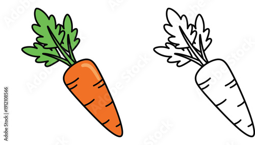 Cute cartoon carrot vector illustration set. Orange vegetable and black and white outline for coloring book page. Healthy food icon isolated on white background.