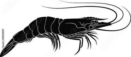 Black Silhouette of Fresh Shrimp Prawn Seafood Isolated on White Background for Restaurant Menu Logo Design Healthy Food Marine Life and Aquatic Culinary Illustration