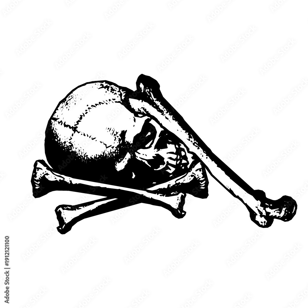 Obraz premium Skull and crossed bones skull with bones 