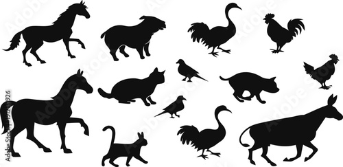 Collection of Domestic Farm Animal Silhouettes Including Horses Cats Birds and Livestock on White Background