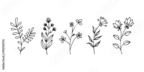 A delightful array of six distinct black and white floral illustrations Vector