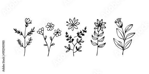A delicate arrangement of five distinct botanical illustrations in black and white Vector