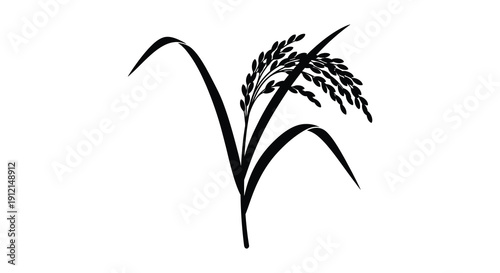 A minimalist black and white illustration depicts a stem of rice showcasing its leaves and grain heads high quality professional detailed
