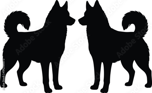 Black and white vector silhouette of two husky dogs standing facing each other isolated on white background for design.