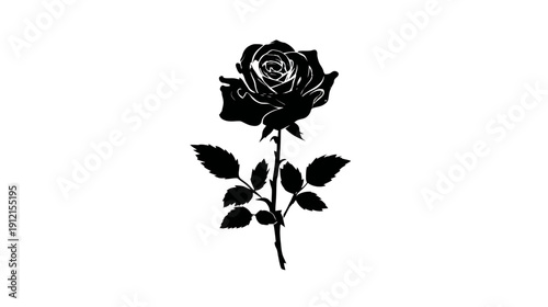 Elegant black rose silhouette vector on white background, romantic flower blossom icon, monochrome floral illustration design