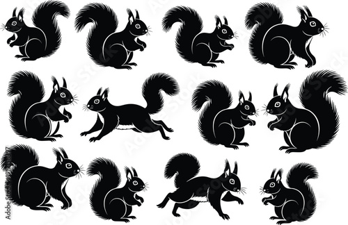 Squirrel silhouettes, bushy tail icons, sitting standing running poses, playful animal artwork, wildlife design elements, black white graphics - flat vector illustration