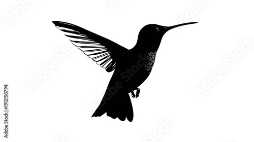 Elegant black hummingbird silhouette flying, wings spread. Detailed bird icon, graphic vector art on white background.