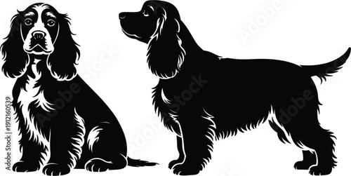 Black and white silhouettes of two Cocker Spaniel pedigree dogs, elegant sitting and standing puppy vector illustrations for professional pet grooming logo design.