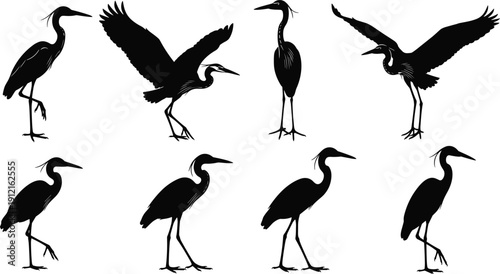 Black heron silhouettes in seven poses, stylized bird vector illustration with standing, walking and flying positions for wildlife, ornithology and decorative design projects