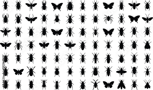 Black insect silhouettes vector illustration, diverse beetles, butterflies, spiders, arthropods, educational entomology artwork, nature study, detailed morphology design