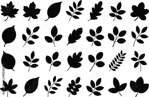 Autumn Leaves Black Silhouette Icons Set  Maple, Oak, Birch, and Aspen Vector Collection