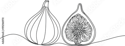 Elegant fig fruit line art illustration on white background