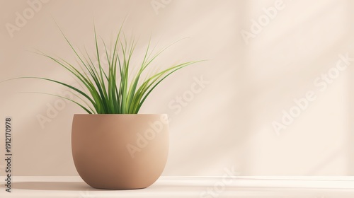 Plant in a round pot placed on a light surface with sunlight casting shadows in the background