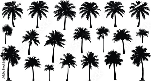 Collection of palm tree silhouettes isolated on white background, black tropical palm set for vector illustration, summer design, travel, and resort branding use
