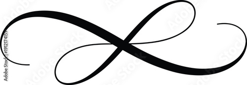 Elegant black vector calligraphic flourish isolated on white, forming a graceful decorative swash or divider element, ideal for sophisticated wedding invitations and classic typography.