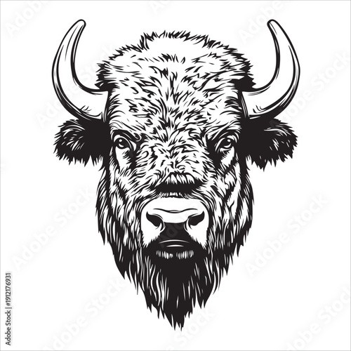 Head of bull silhouette vector design