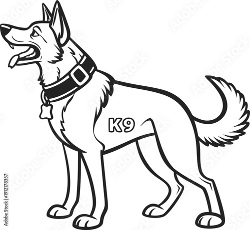 A dog with a collar and a harness