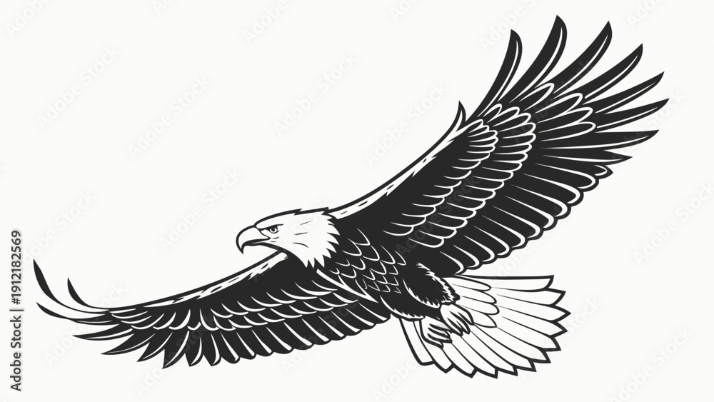 Obraz premium A bald eagle in flight with outstretched wings Vector