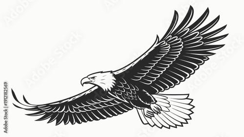 A bald eagle in flight with outstretched wings Vector