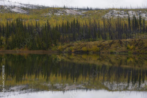 Wide shot of a calm lake mirroring a boreal forest with autumn colors, burned trees, and snow-dusted hills under an overcast sky. Ideal for environmental and travel themes.