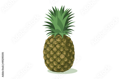 Whole Pineapple Fresh Tropical Fruit Minimal Food Illustration