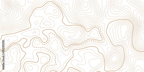 Topographic gold luxury map background. Geographic abstract pattern. Modern design with White background with topographic wavy pattern design.Rendering abstract illustration.