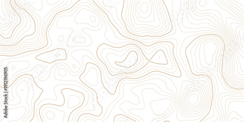 Topographic gold luxury map background. Geographic abstract pattern.Digital future technology concept. vector illustration.
