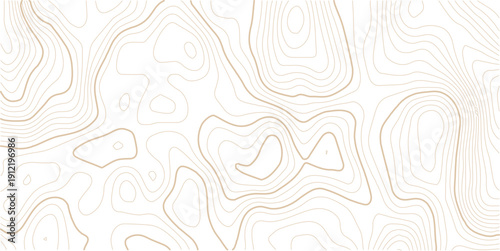 Topographic gold luxury map background. Geographic abstract pattern.Digital future technology concept. vector illustration.
